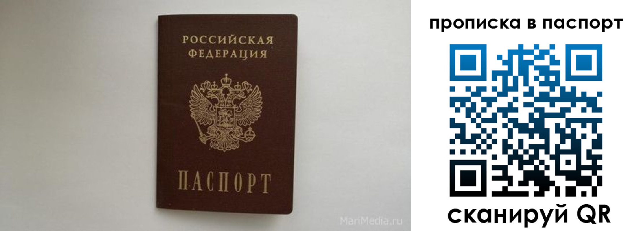 регистрация для школы в Зеленогорске